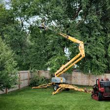 Best Grass Overseeding  in Elwood, UT
